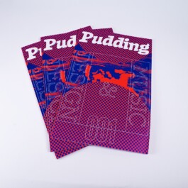 PUDDING PROJECTS